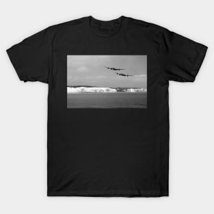 Birds Over The Cliffs T-Shirt